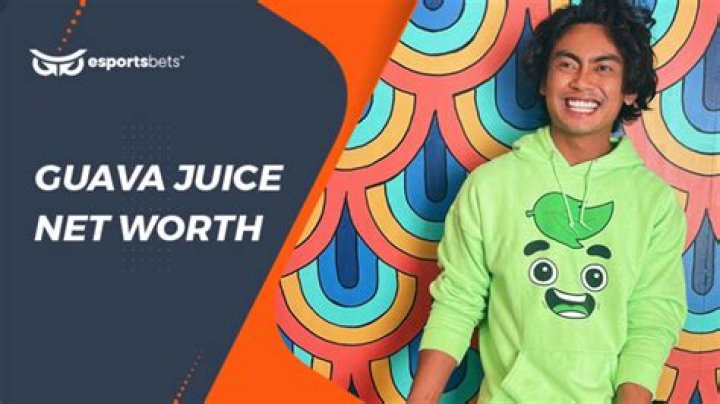Guava Juice Net Worth: How Rich Is The Youtuber Actually In 2022?